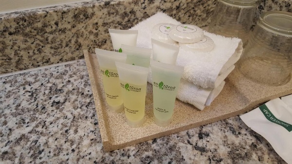 Airport Gateway Hotel image 7